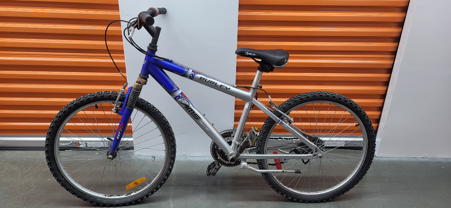 Burley Blue and Silver Bike