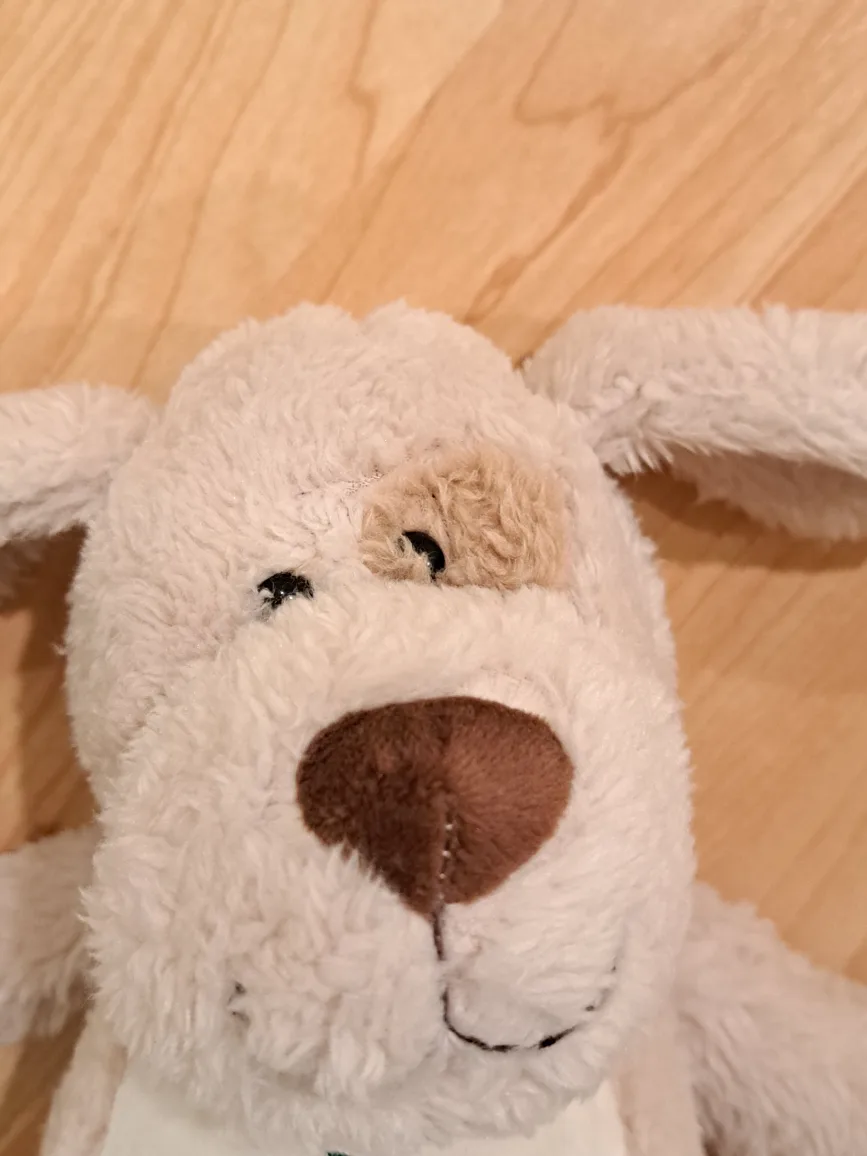 12" Cathay Pacific 2018 Plush Dog image indicator(5)