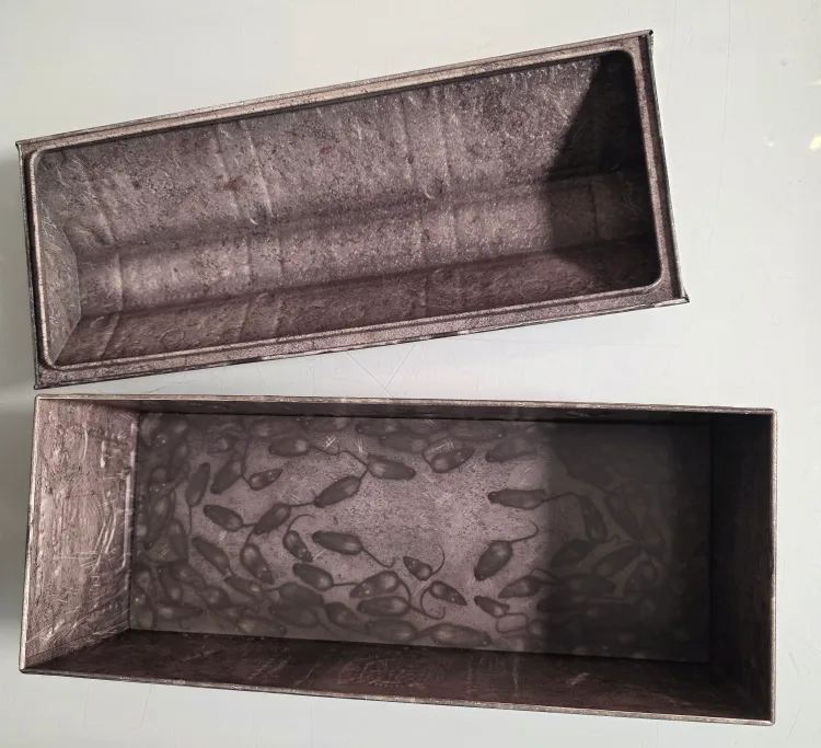 Nosferatu Popcorn Bucket image indicator(3)