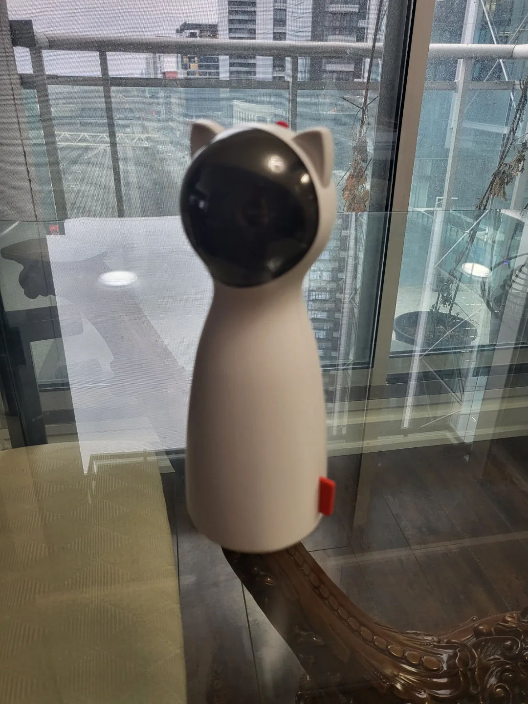 Cat laser toy image indicator(2)