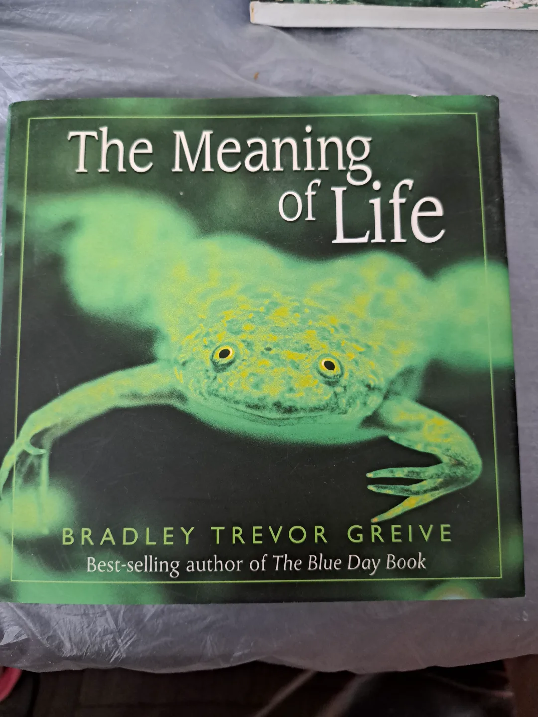 The Meaning of Life by Bradley Trevor Greive thumbnail
