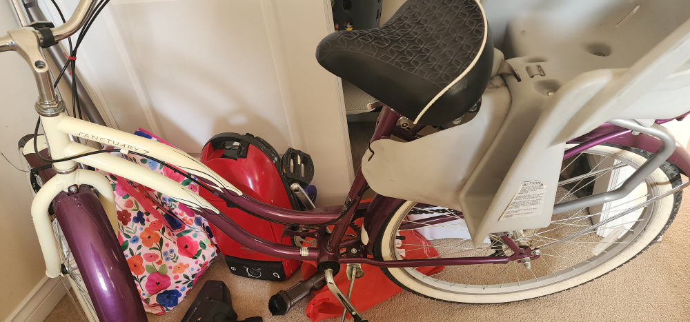 Sanctuary 7 Women's Cruiser Bicycle with Child Seat