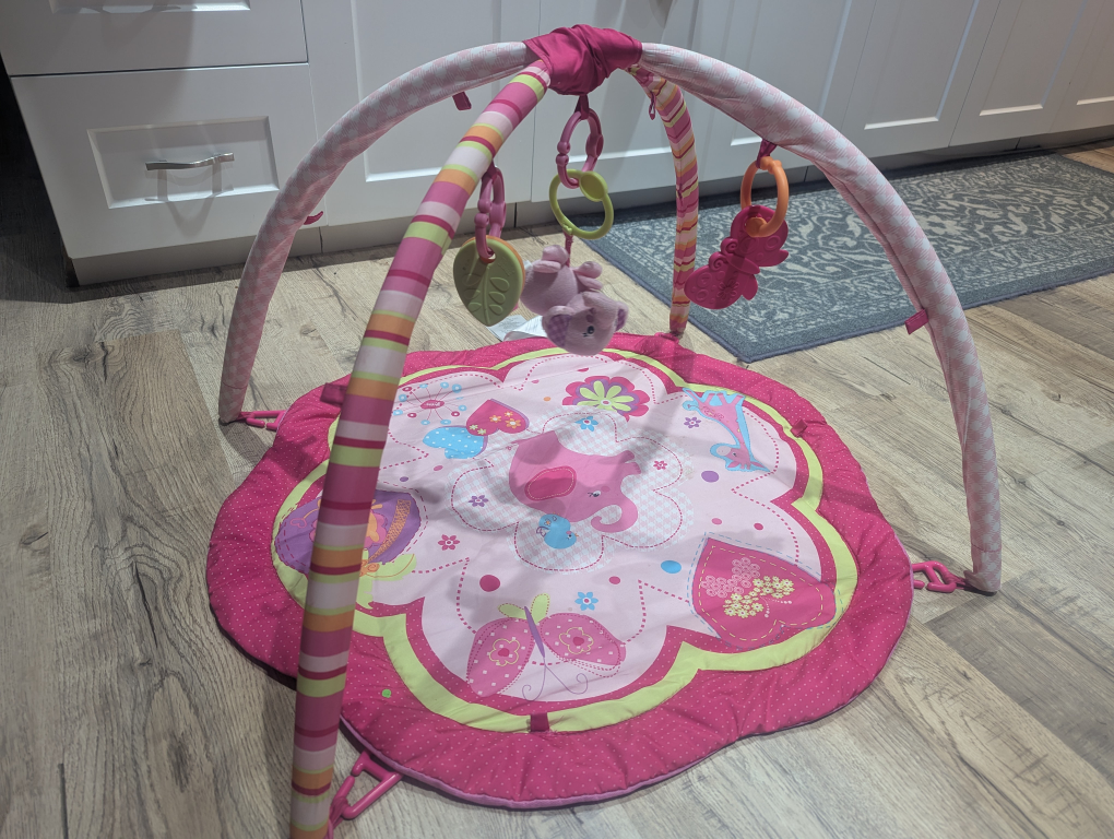 Baby Play Gym Mat with Hanging Toys