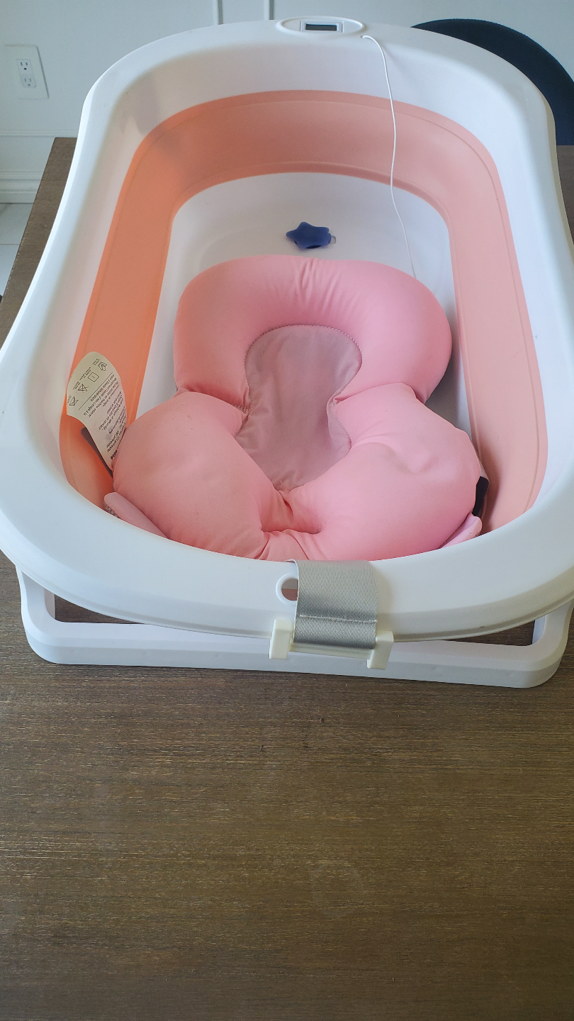 Baby Bath Tub with Newborn Support- $25