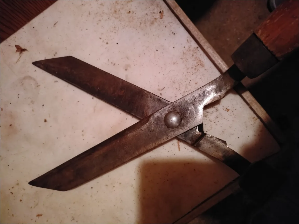 Vintage Garden Shears image indicator(2)