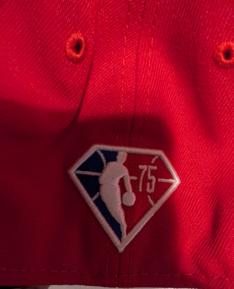 Toronto Raptors - photo 5