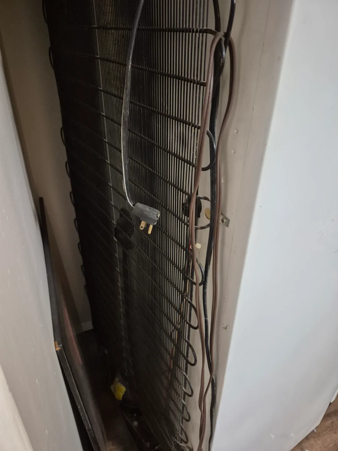 Camco MLF1624W-R1 Refrigerator thumbnail