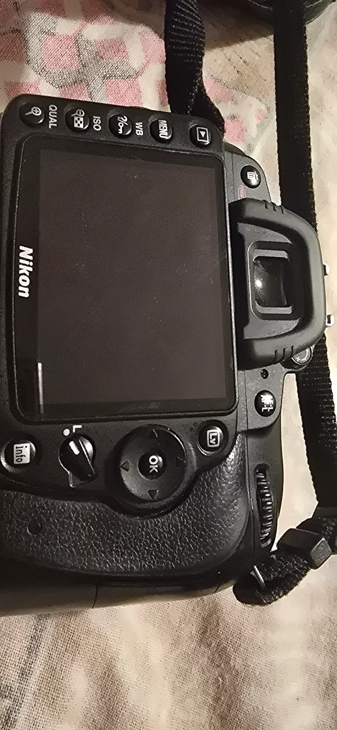 Nikon D90 DSLR Camera image indicator(2)