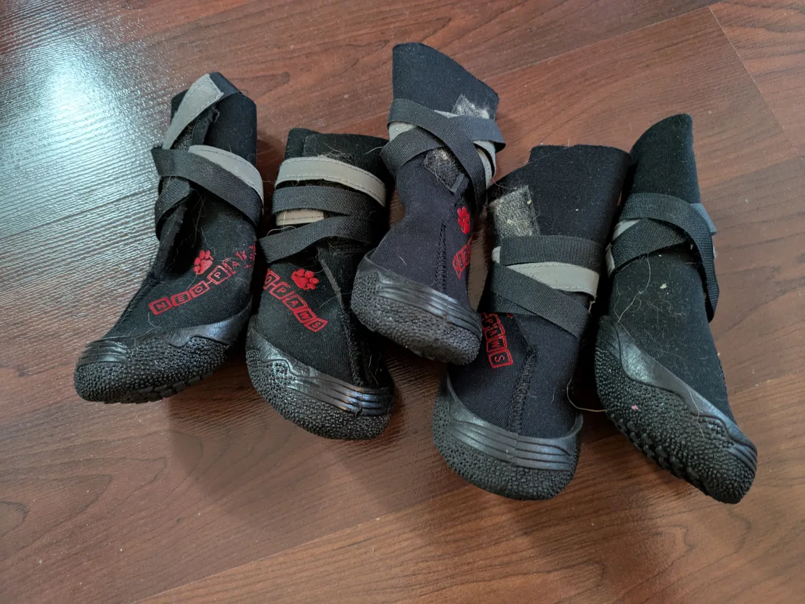 bundle - 4 sets Dog Booties (Small-Medium) image indicator(8)