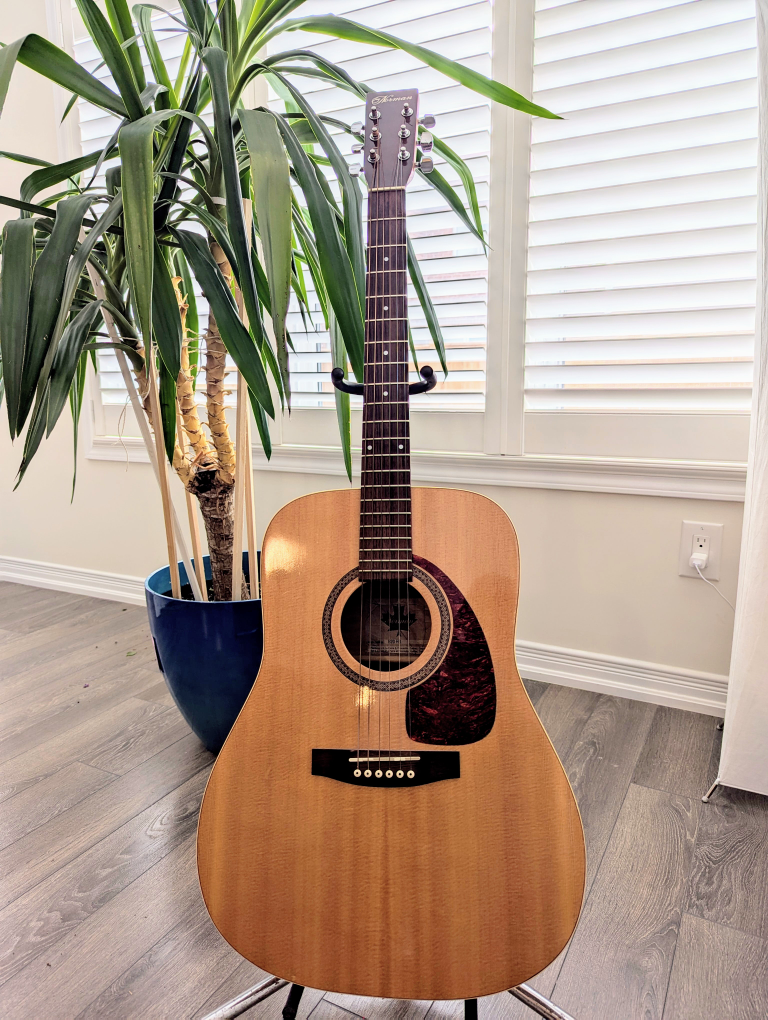 Norman B20 HG Acoustic Guitar