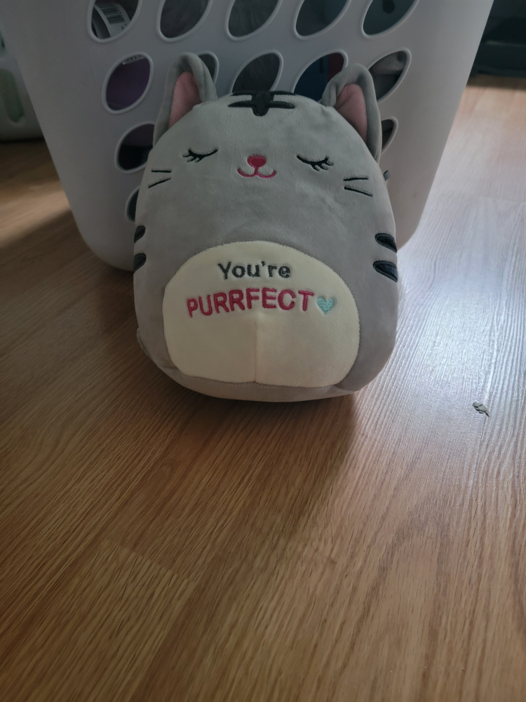 Squishmallow Plush Cat Toy - You're Purrfect
