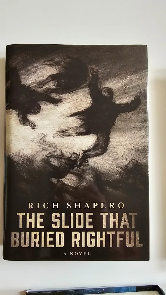 Rich Shapero Novels Collection (4 Books)  🥕 💚 image indicator(3)