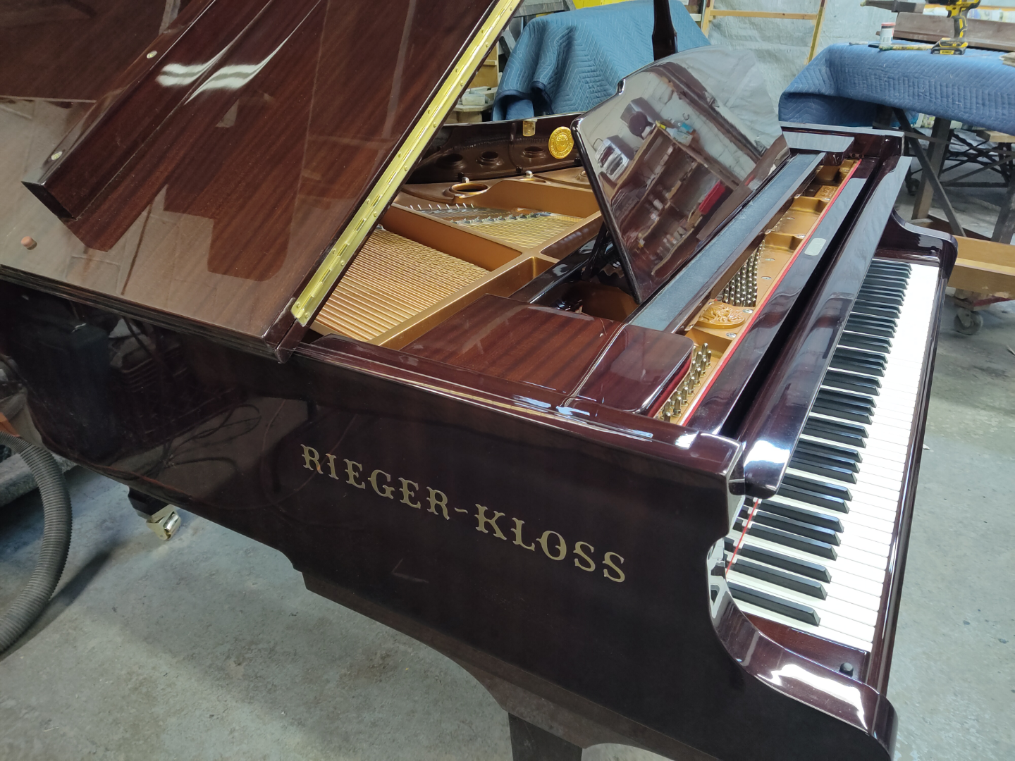 Rieger-Kloss Grand Piano - Excellent Condition