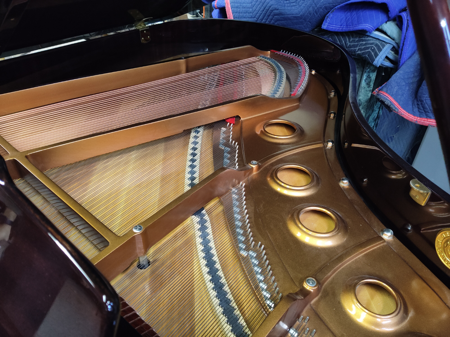 Rieger-Kloss Grand Piano - Excellent Condition - photo 2
