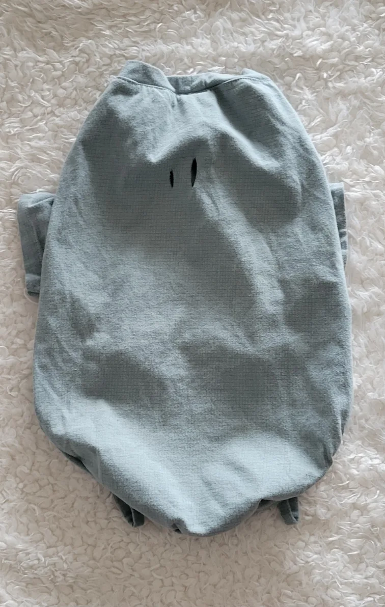 Dog Clothes Bundle - 4 Adorable Outfits! image indicator(7)