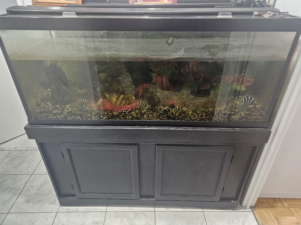 Used Aquarium Tanks with Stands - Various Sizes - photo 2
