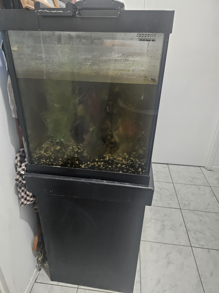 Used Aquarium Tanks with Stands - Various Sizes - photo 3