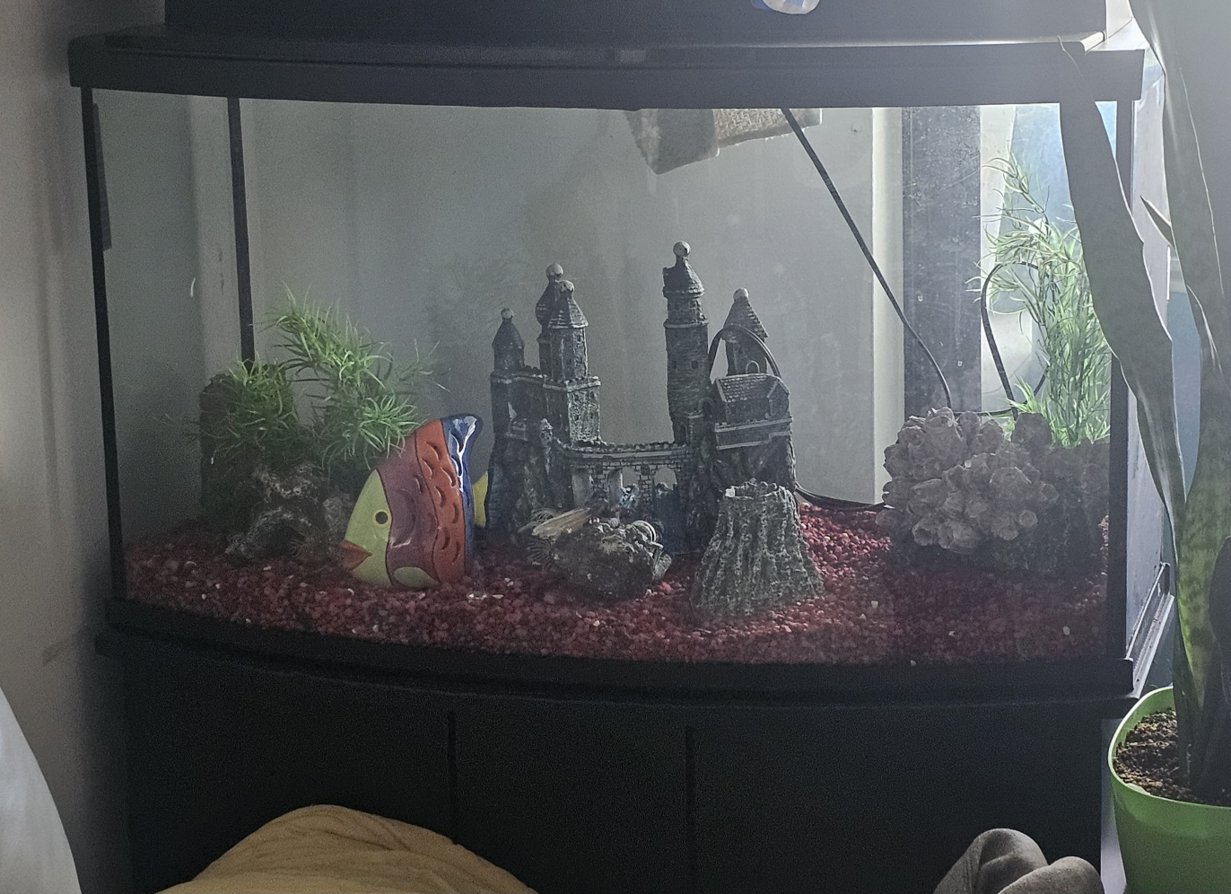 Used Aquarium Tanks with Stands - Various Sizes - photo 4