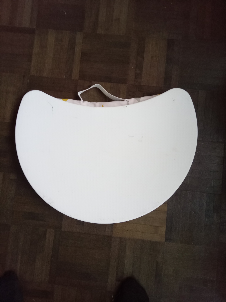 Portable Lap Desk with Removable Cushion