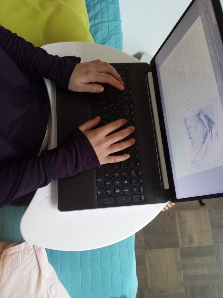 Portable Lap Desk with Removable Cushion - photo 3