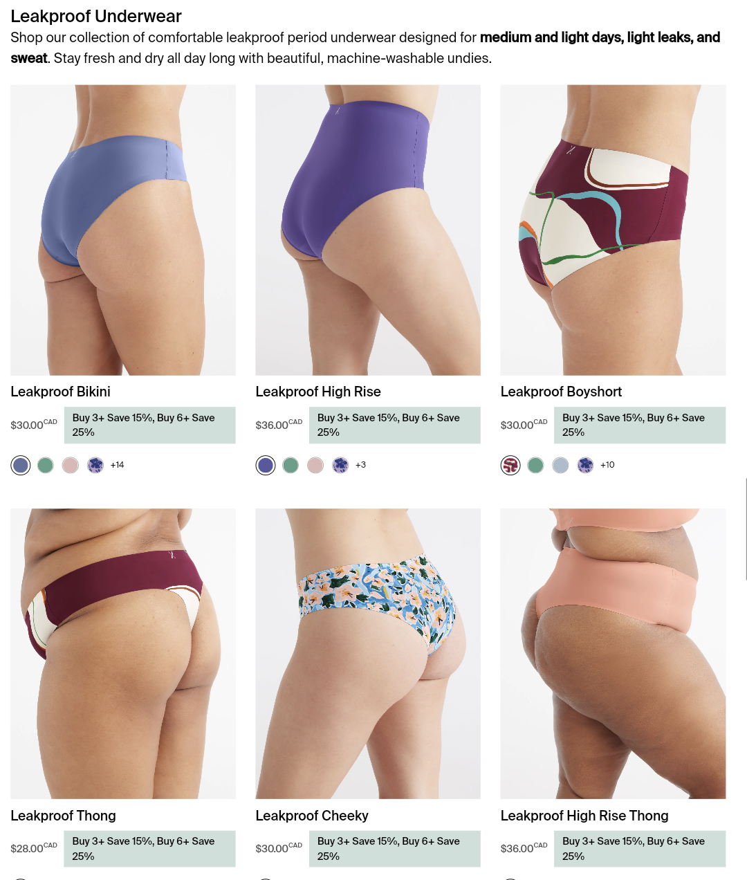 NWT Knix Underwear