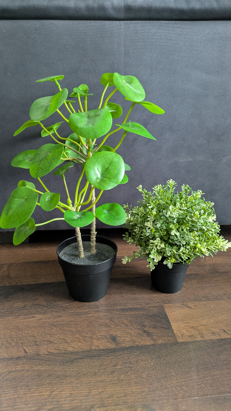 Two Artificial Plants in Black Pots