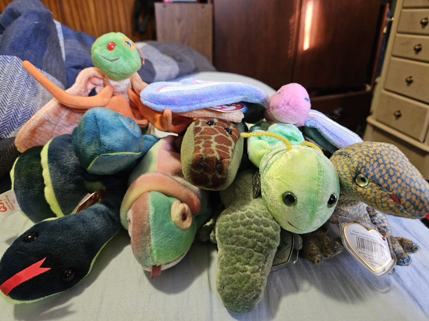 Beanie Babies