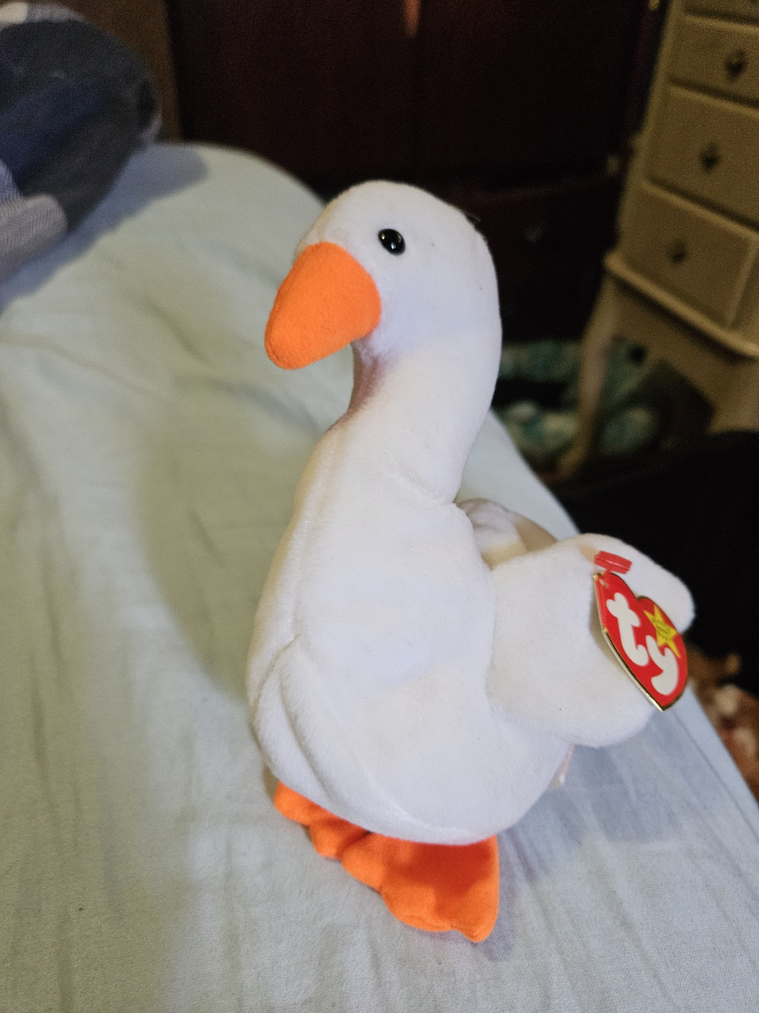 Beanie Baby Birds - photo 3