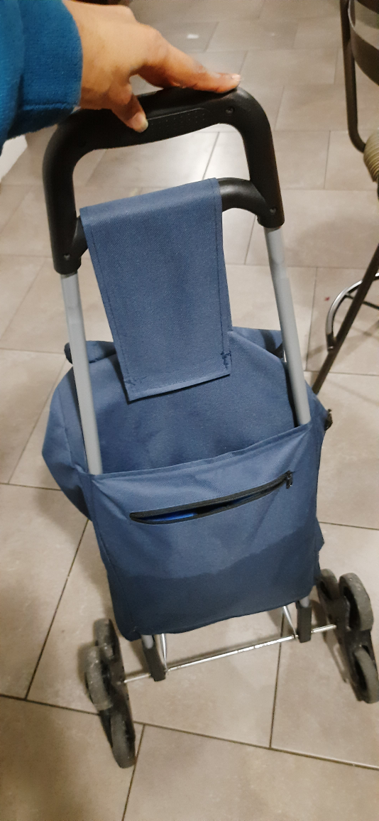 Portable Shopping Cart - Blue - photo 3