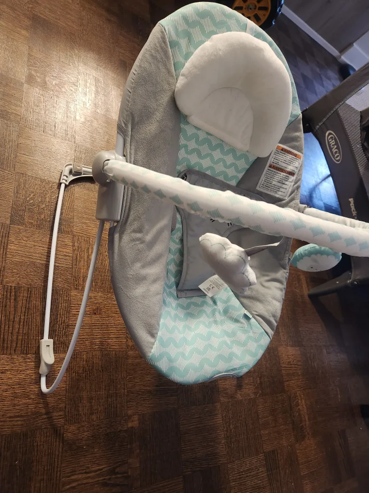 Ingenuity Baby Bouncer image indicator(2)