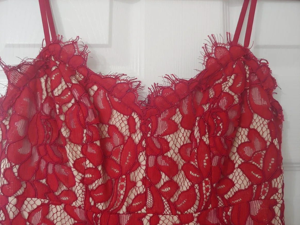 Beautiful Red Lace Dress image indicator(2)
