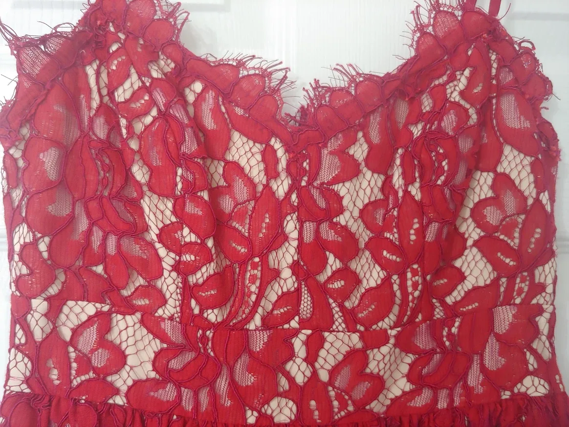 Beautiful Red Lace Dress image indicator(6)