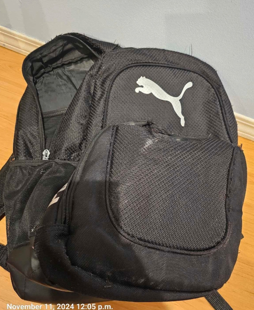 Puma Backpack #freecycle