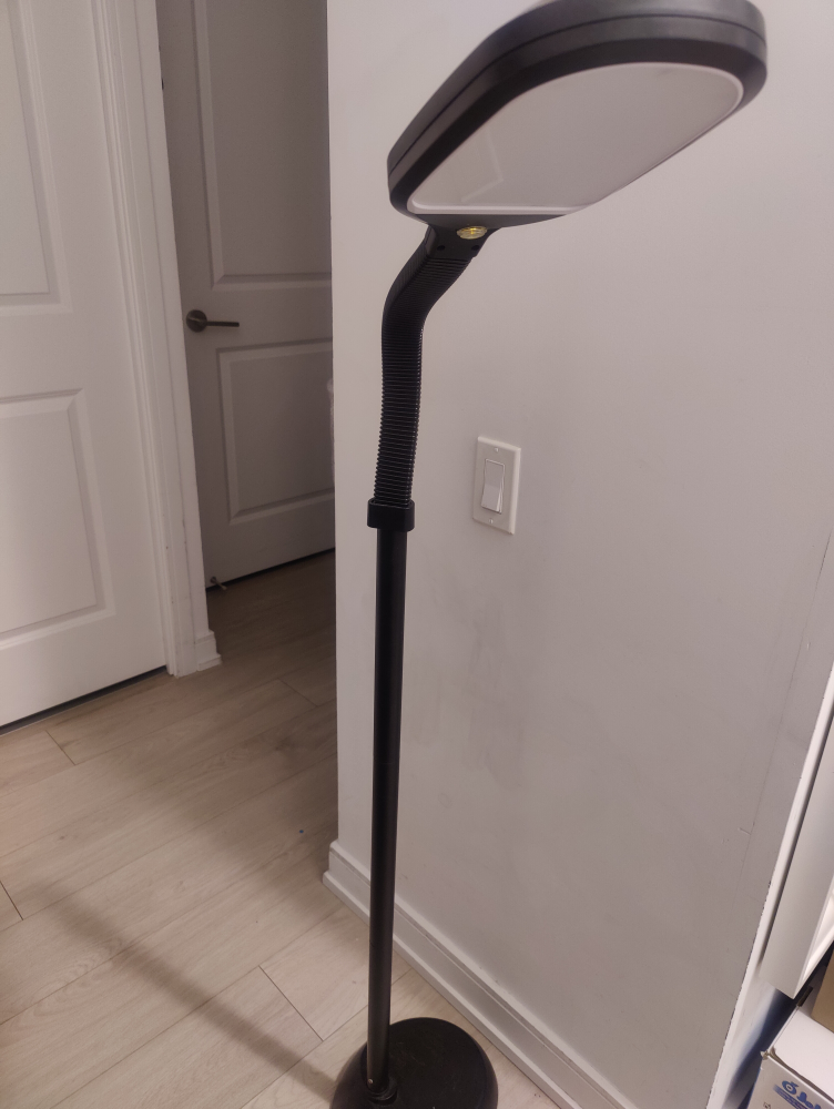 LED Floor Lamp with Adjustable Gooseneck Black Slim