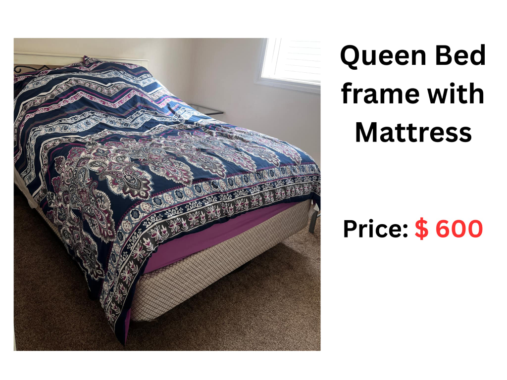 Queen Bed Frame and Mattress Set