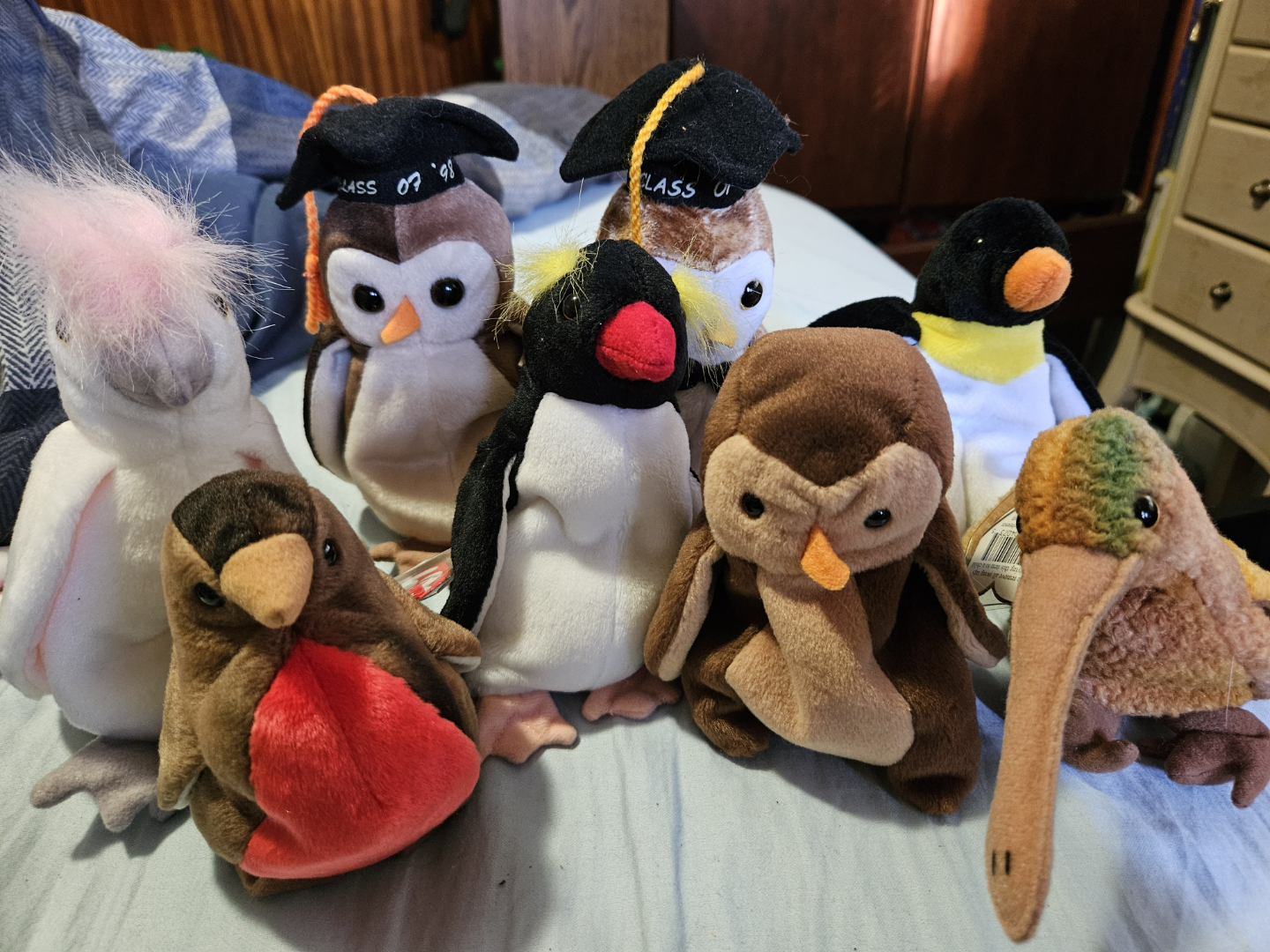 Beanie Babies