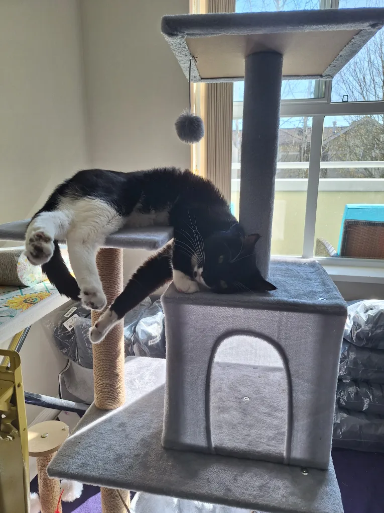 NEW Grey Cat Tree with Condo, Hammock & Sisal Posts image indicator(5)