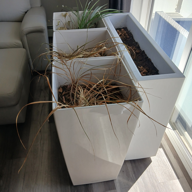 Set of three white modern planters 💚