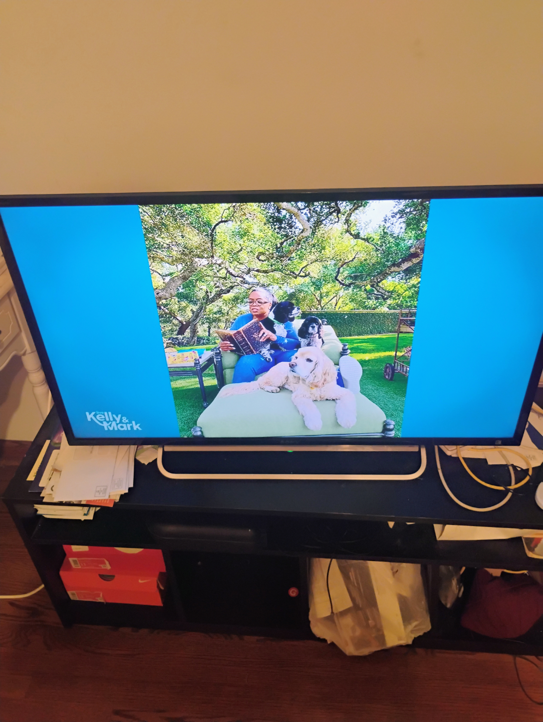 LG 43" LED Smart TV