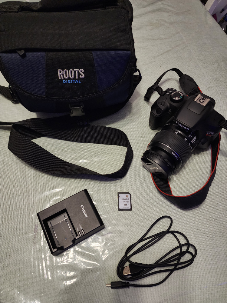 Canon EOS Rebel T6 DSLR Camera Kit with Accessories