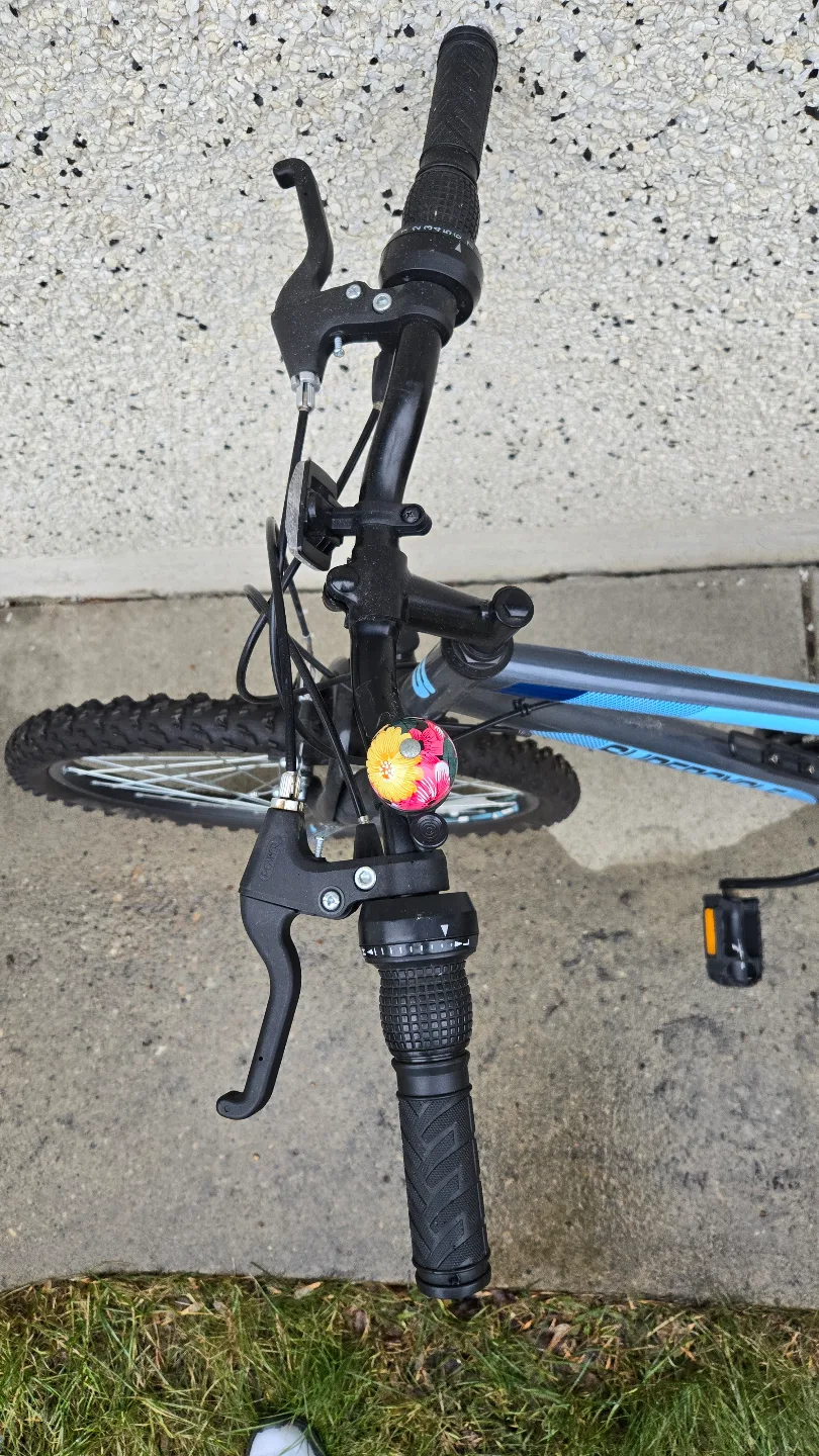 Kids Supercycle 24" Mountain Bike image indicator(2)
