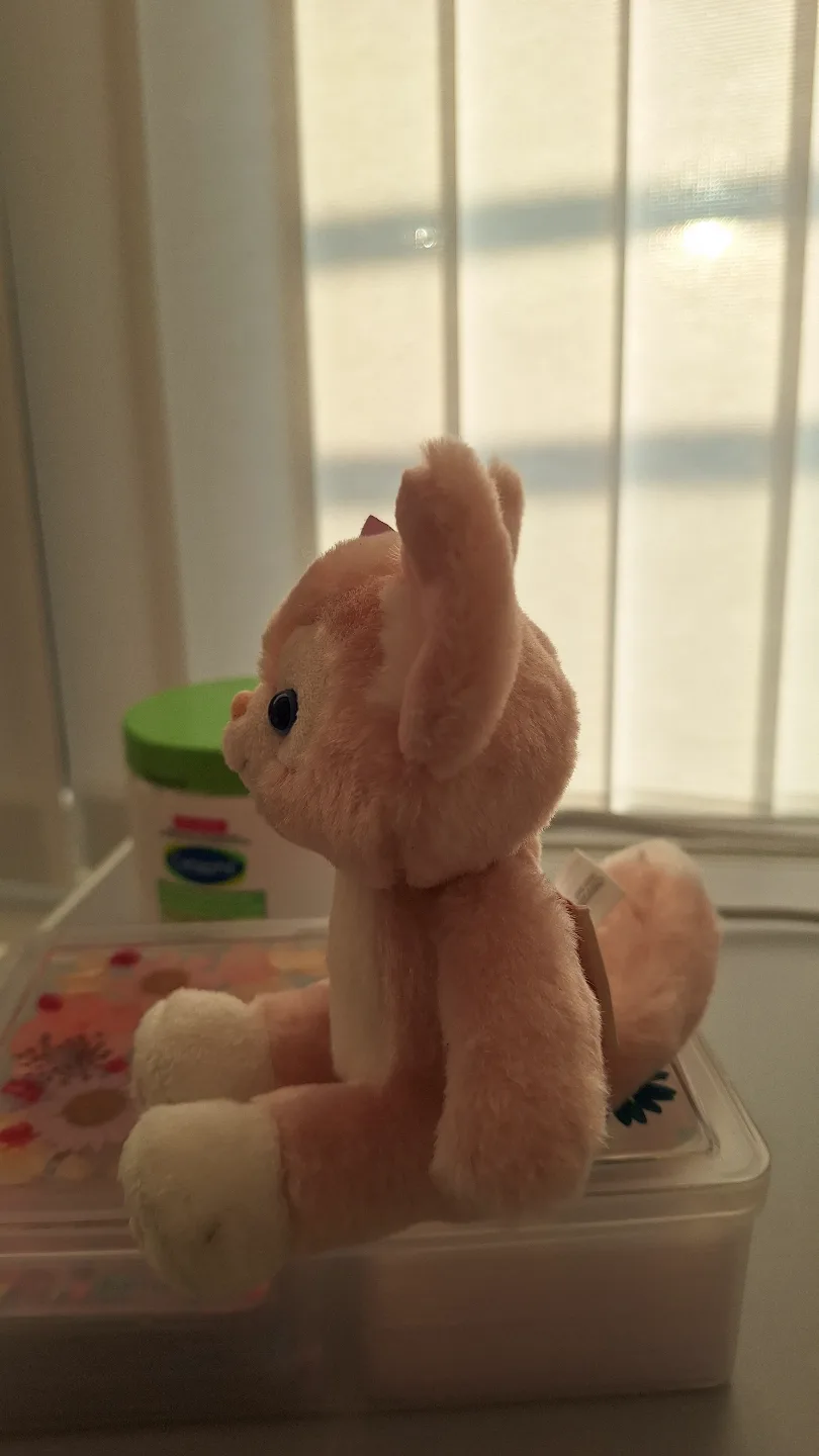 Pink Disneyland Plush Toy image indicator(4)