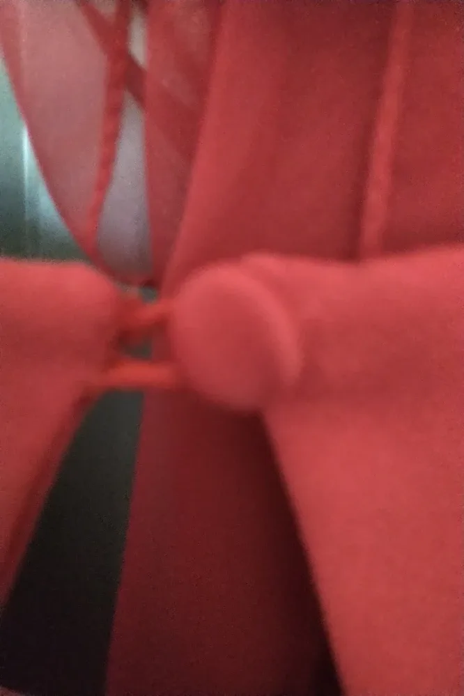 Stunning Red Formal Gown with Matching Shawl image indicator(6)