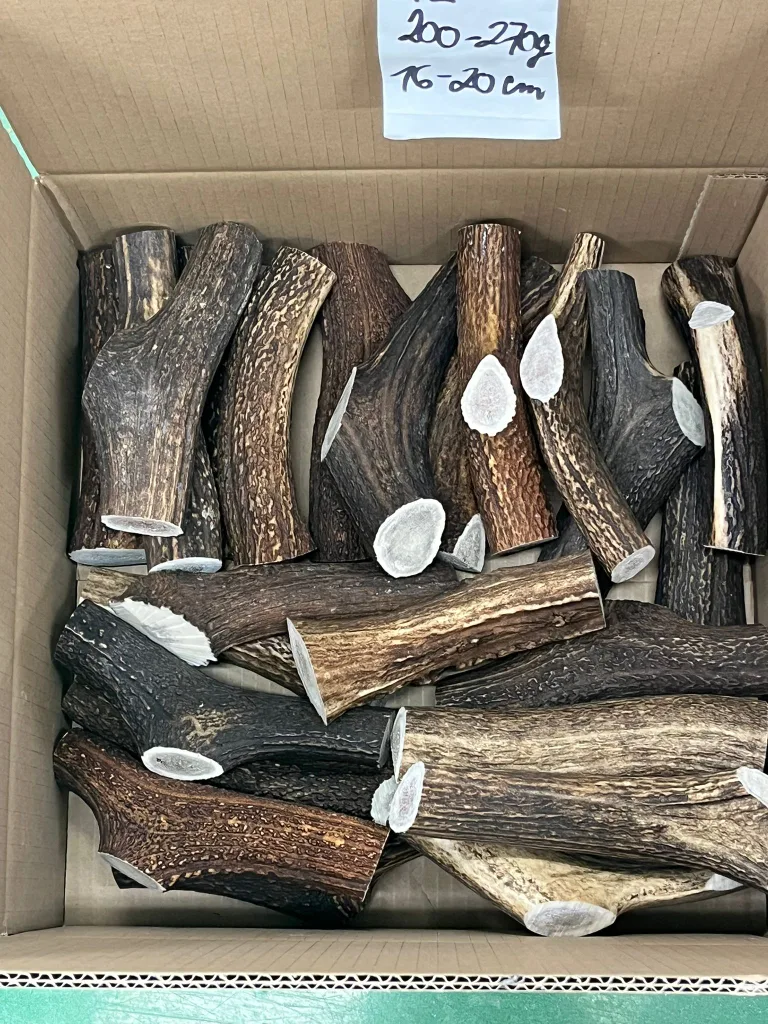 Garage Sale Apr 13. (400+ brand new items) image indicator(2)