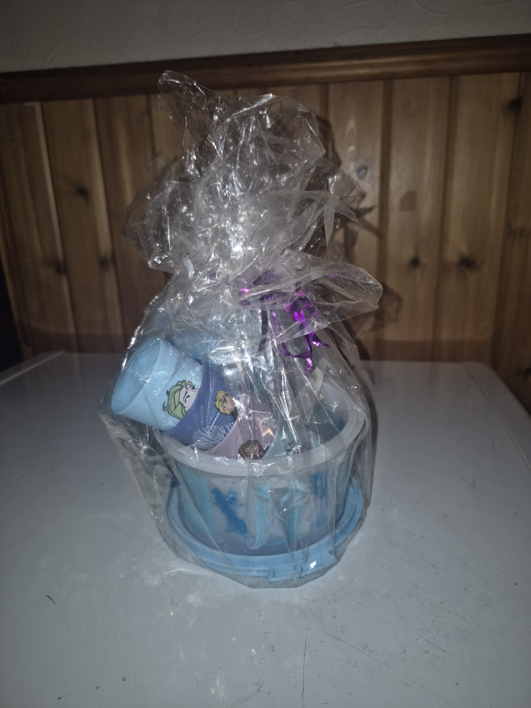 Frozen themed kids' snack cup and container set