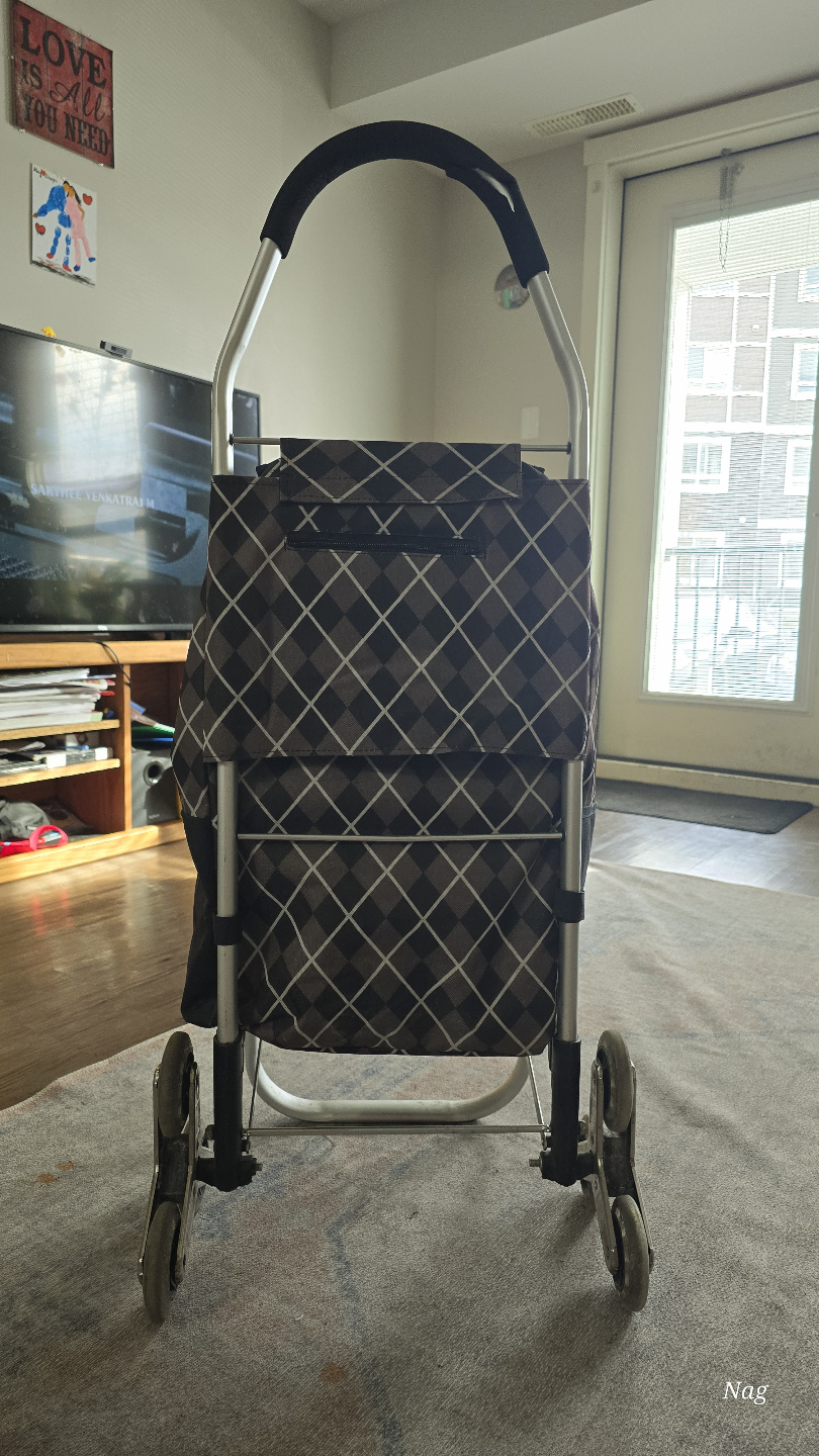 Rolling Shopping Cart with Bag - photo 2
