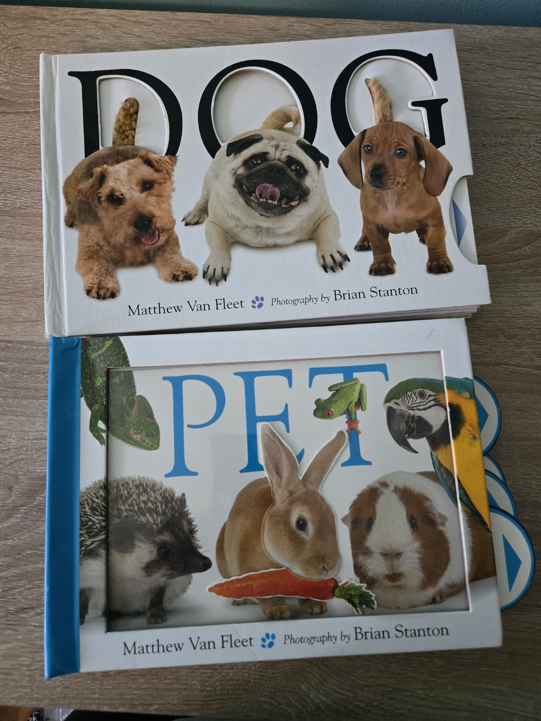 Dog and Pet Lift-the-Flap Board Books