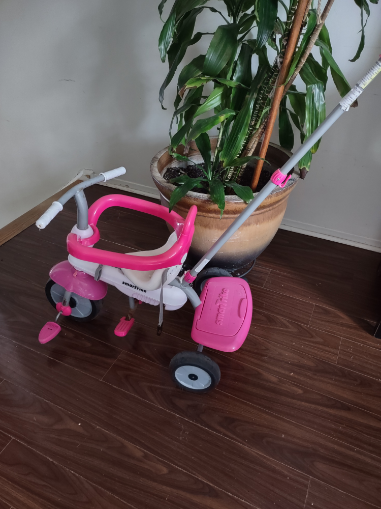 Smartrike Tricycle