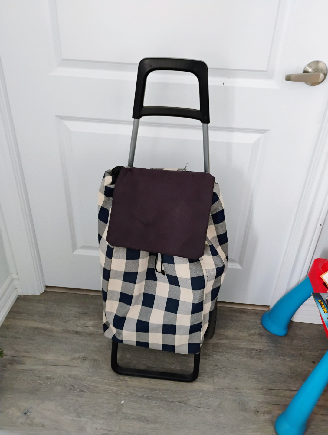 Gingham Shopping Cart / Grocery Cart