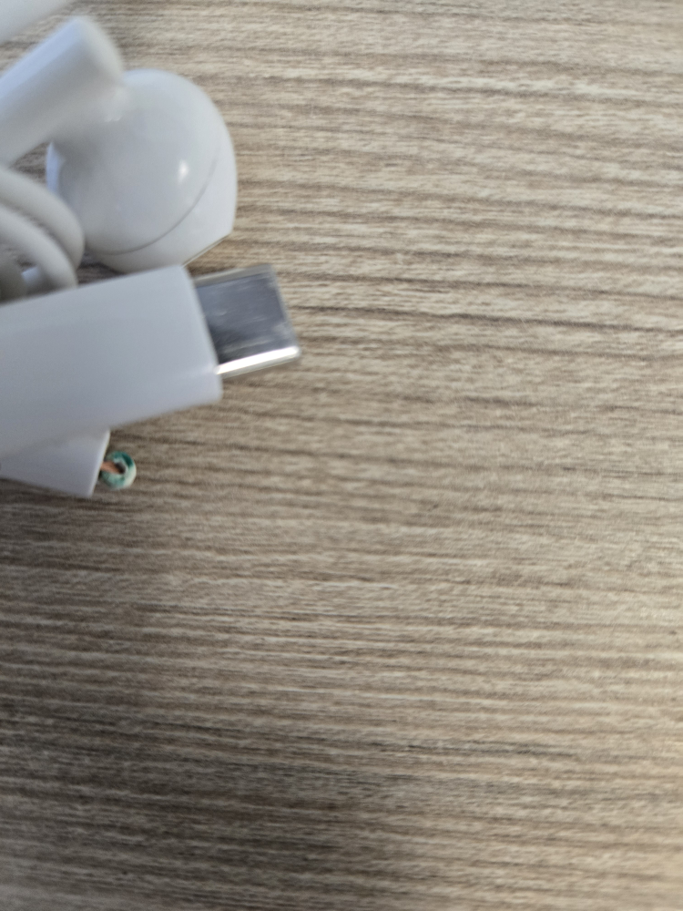 White USB-C Wired Earbuds 💚 - photo 2